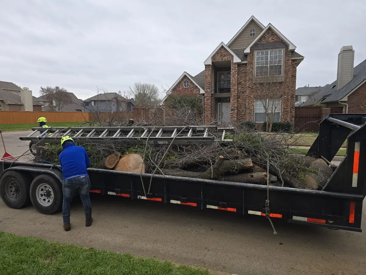 Expert Tree Fertilization with proper safety equipment in Mound Valley